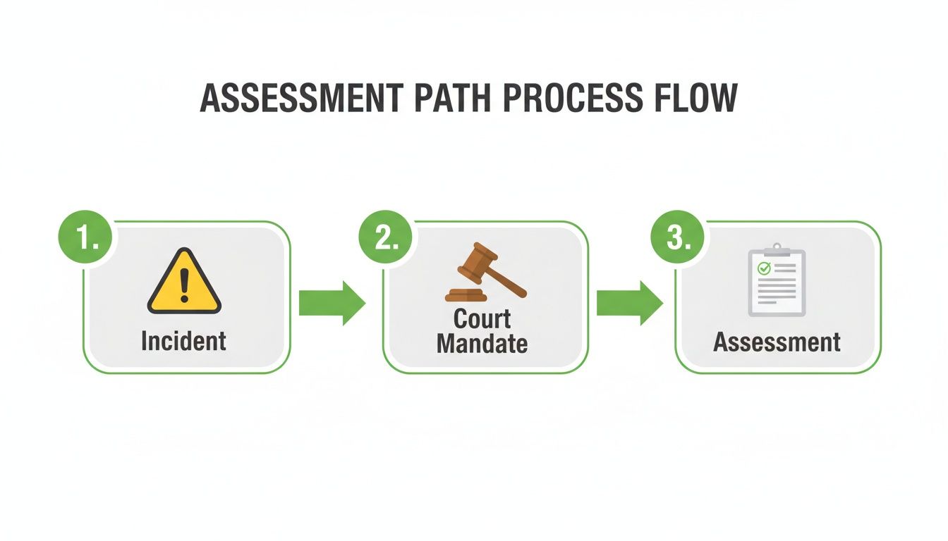 A visual process flow showing steps from an incident to a court mandate and then assessment.
