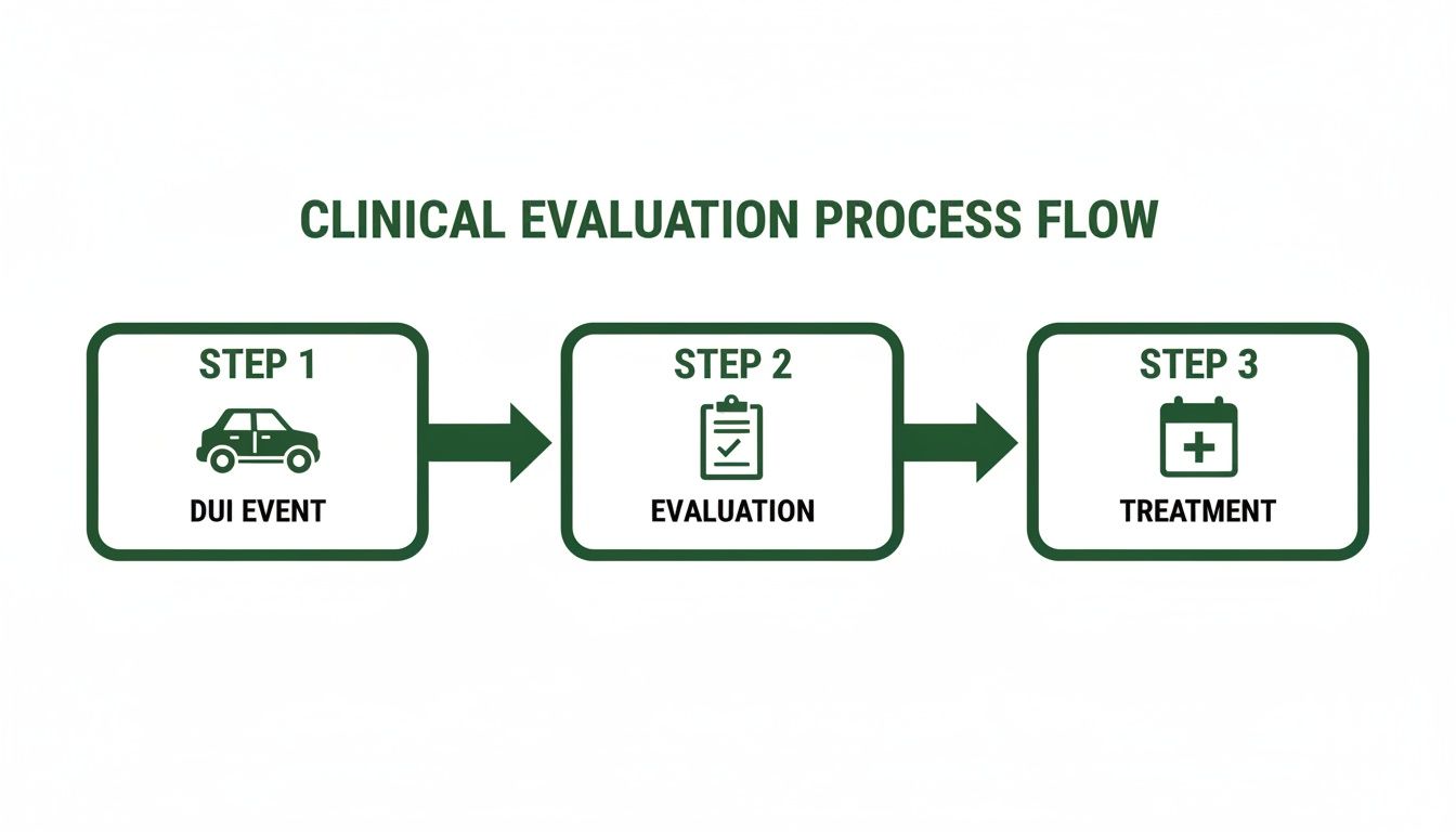 Flowchart showing the clinical evaluation process for DUI, from event to evaluation and treatment.