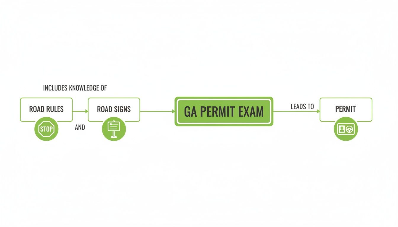 Flowchart illustrating how knowledge of road rules and signs leads to the GA Permit Exam and a permit.