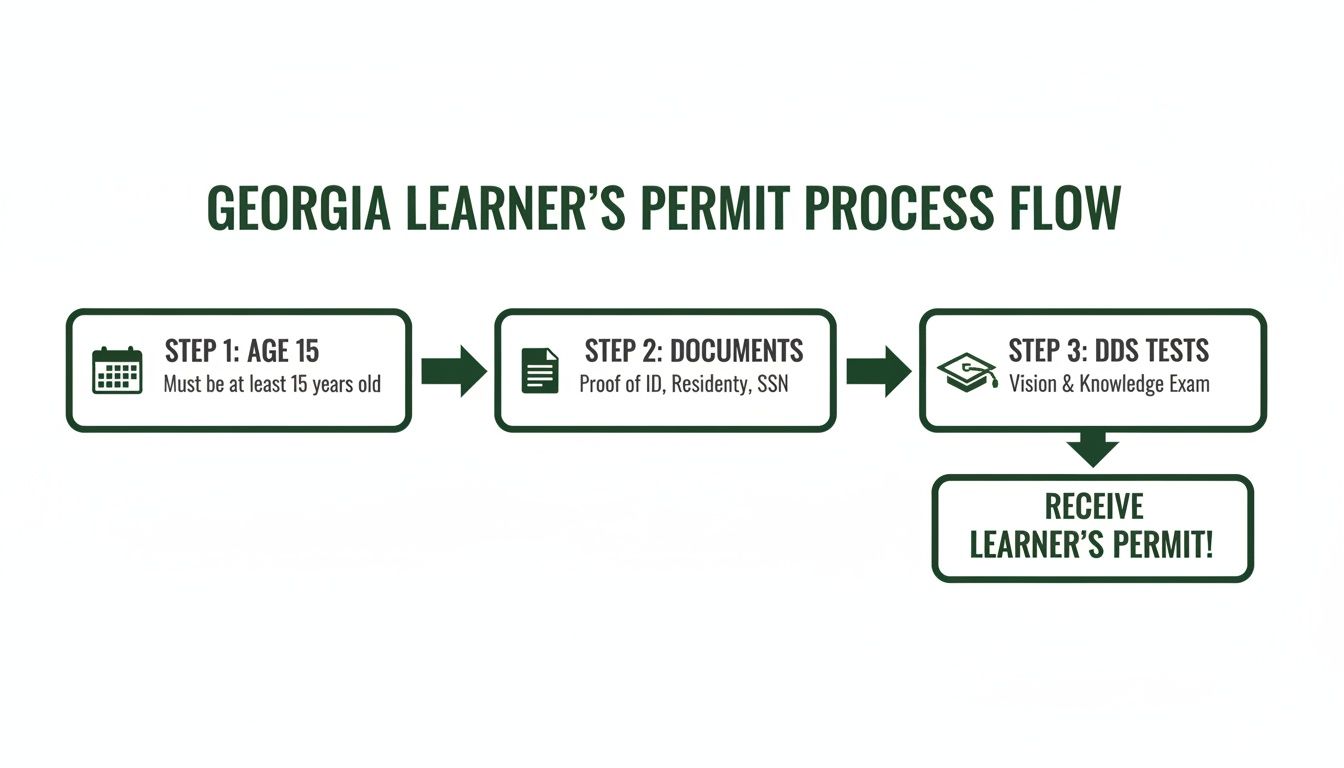Flowchart detailing the steps to acquire a Georgia Learner's Permit, including age, documents, and tests.