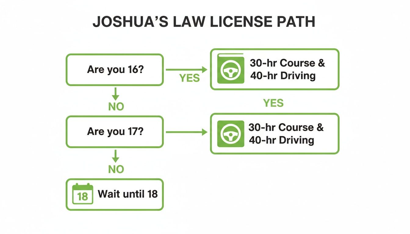 Flowchart illustrating Joshua's Law license path with age-based driving course requirements for 16 and 17-year-olds.