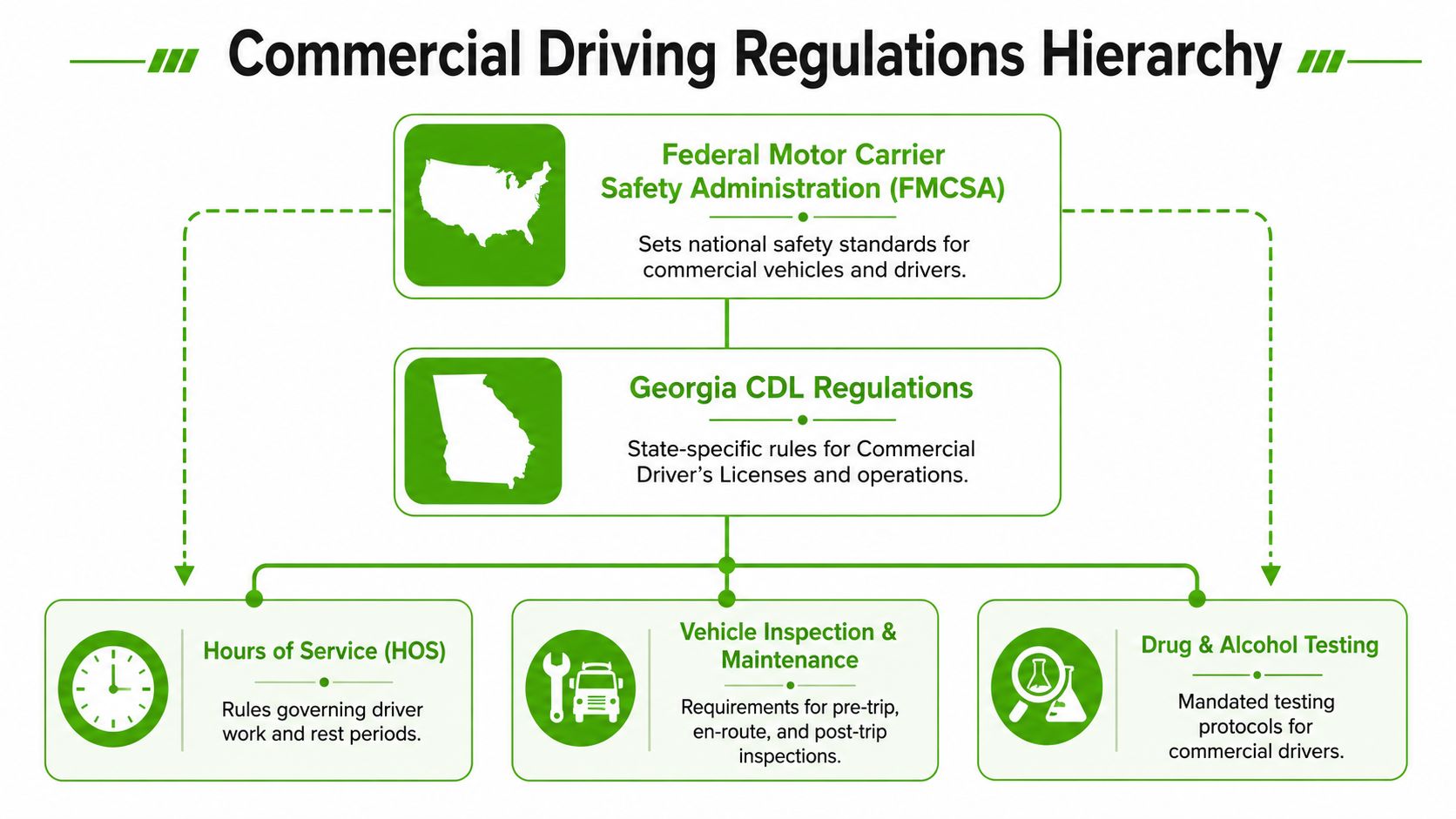 A hierarchical flow chart illustrating federal FMCSA safety standards and state-specific Georgia CDL regulations for commercial drivers.
