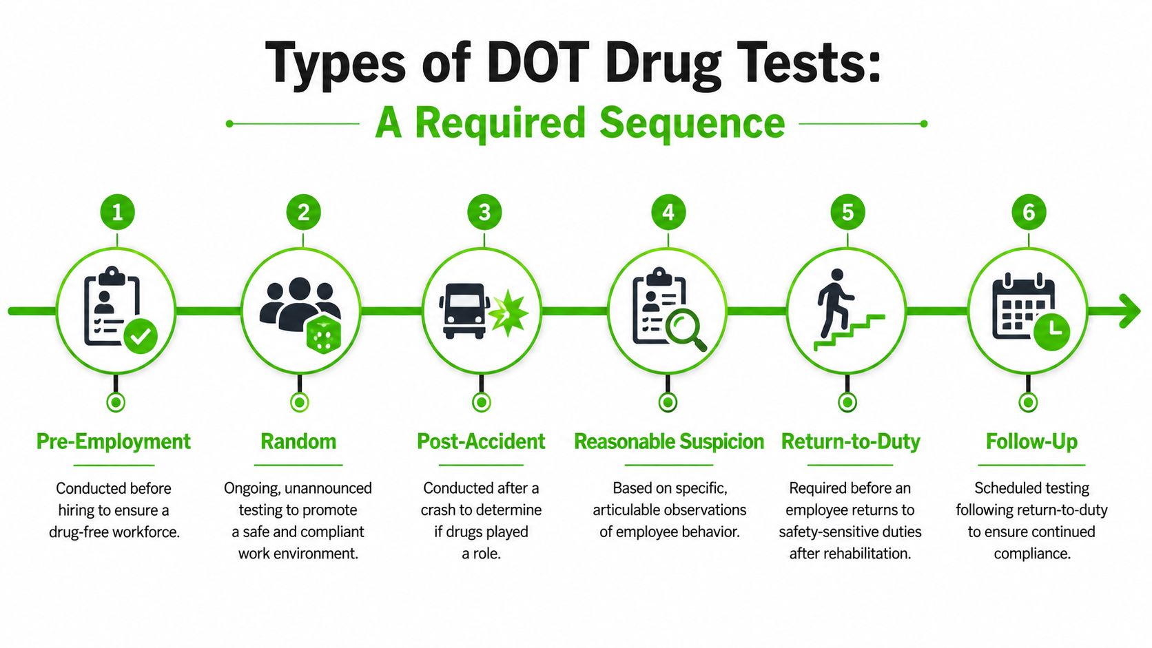 A diagram outlining the six required steps of DOT drug testing regulations for safety-sensitive employees.