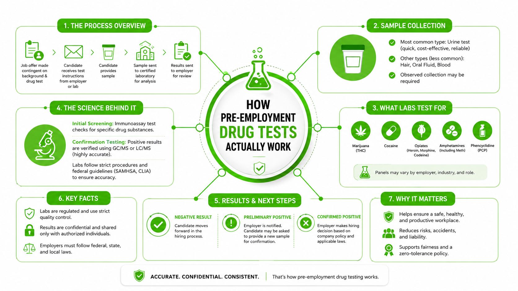 A detailed infographic explaining the seven steps of the pre-employment drug testing process for job applicants.