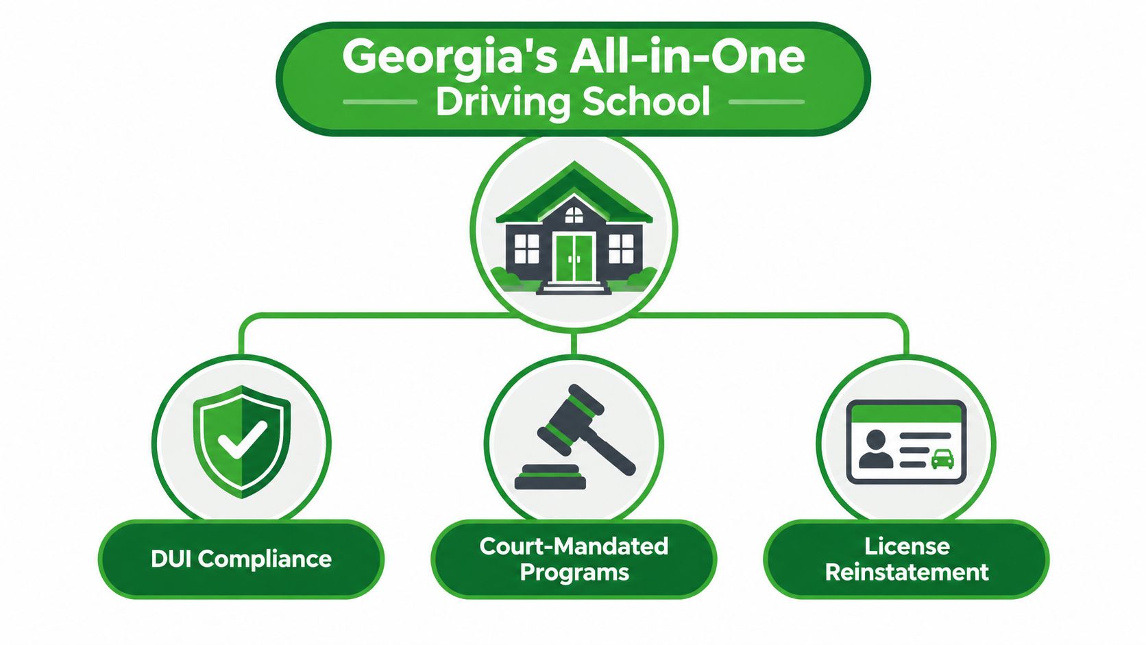 A logo for Georgia's All-in-One Driving School showing icons for DUI compliance, court-mandated programs, and license reinstatement.