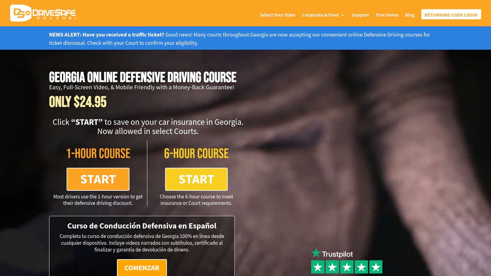 DriveSafe Online – Georgia