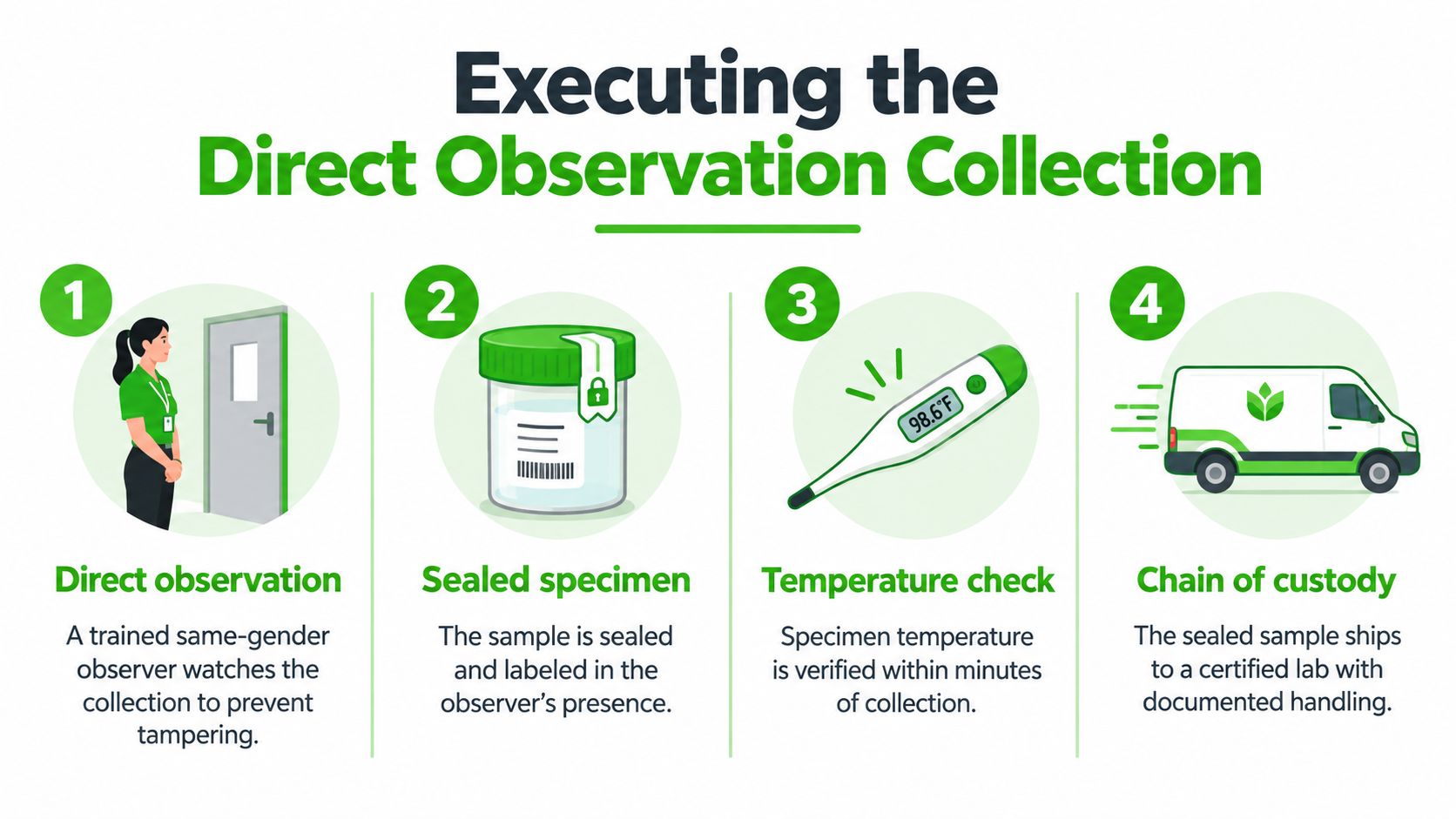 An infographic showing the four steps of executing a direct observation drug test collection process.