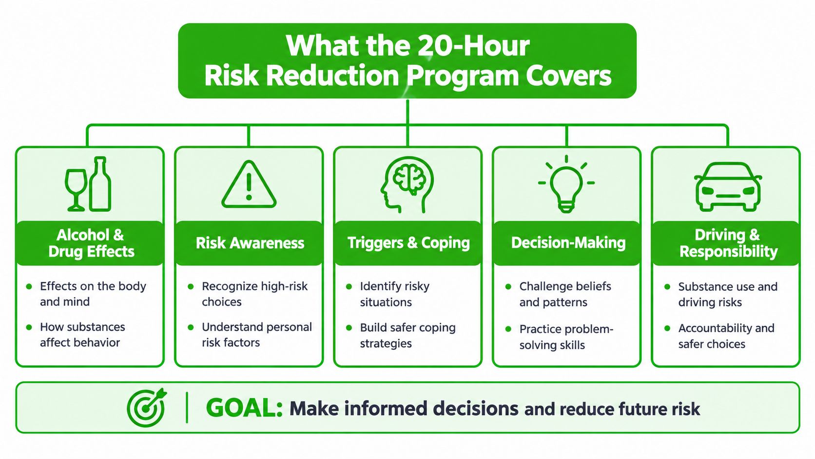 An infographic outlining the curriculum of a 20-hour risk reduction program, including key topics and program goals.